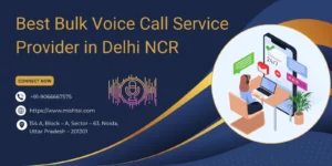 Bulk Voice Call Service in Delhi NCR